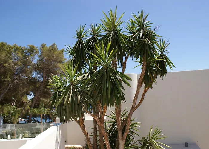 Villa Beautiful Family In Santa Eulalia, 1035 *