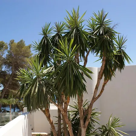 Villa Beautiful Family In Santa Eulalia, 1035 *